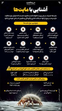 آشنایی با مایت‌ها