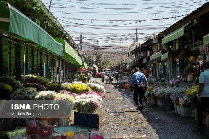 پایش میدانی ایمنی و آتش‌نشانی بازار گل و مجتمع مسکونی امام رضا علیه السلام