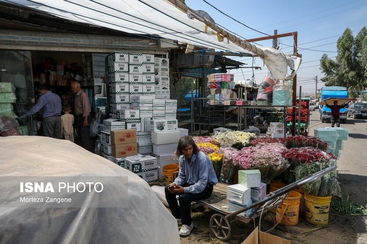 پایش میدانی ایمنی و آتش‌نشانی بازار گل و مجتمع مسکونی امام رضا علیه السلام