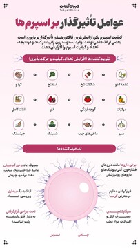 عوامل تأثیرگذار بر اسپرم‌ها