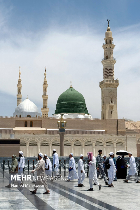 حال و هوای مسجد النبی صلی الله علیه وآله در ایام حج