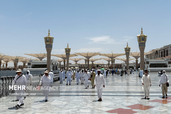 حال و هوای مسجد النبی صلی الله علیه وآله در ایام حج