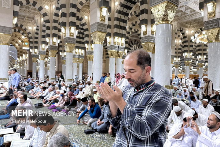 حال و هوای مسجد النبی صلی الله علیه وآله در ایام حج