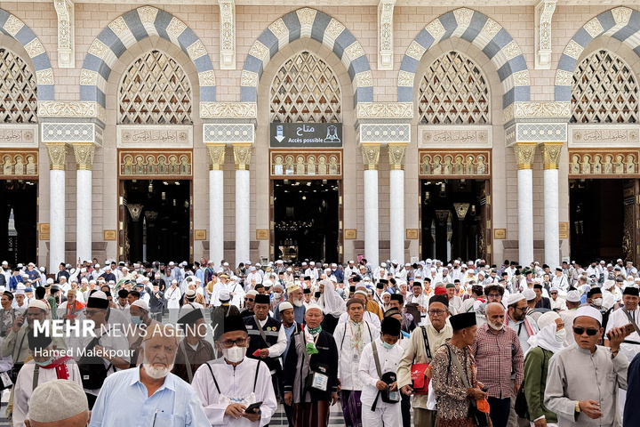 حال و هوای مسجد النبی صلی‌الله‌علیه‌وآله در ایام حج