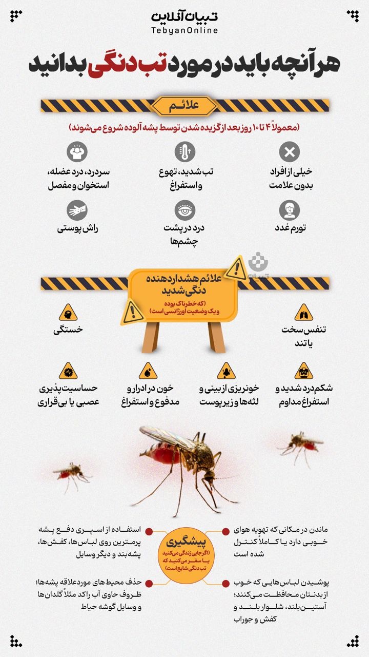 هر آنچه باید در مورد تب دنگی بدانید