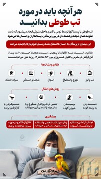 هر آنچه باید در مورد تب طوطی بدانید