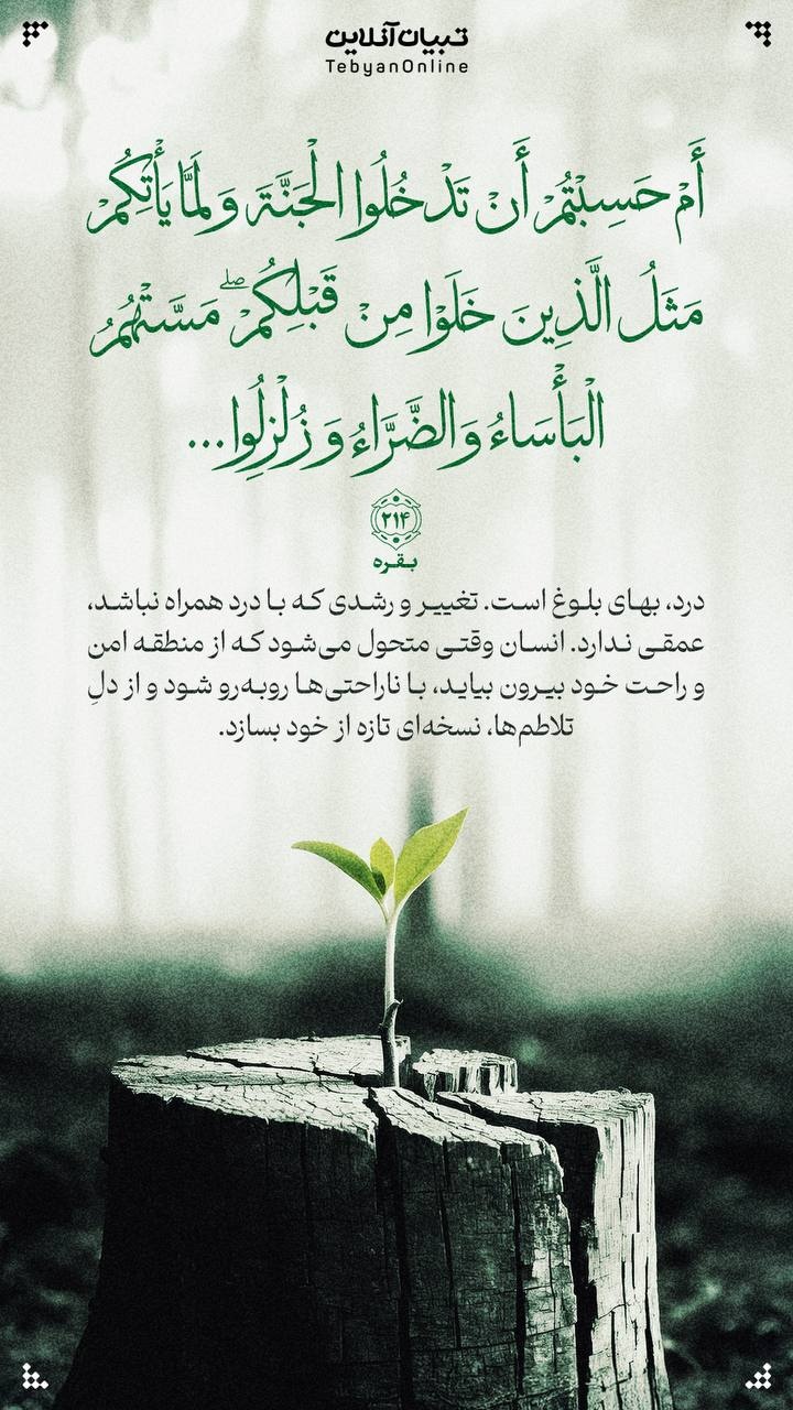 آیه صبح روز ۱۵ خرداد ۱۴۰۴ آیه صبح روز ۱۵ خرداد ۱۴۰۴