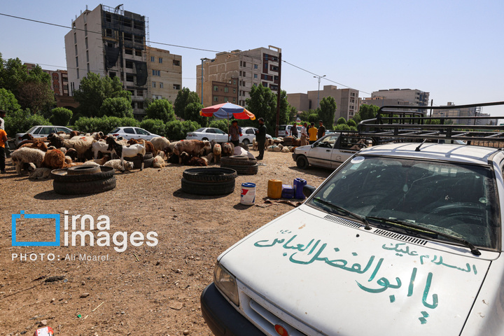 «ذبح ایمن» در روز عید «قربان»