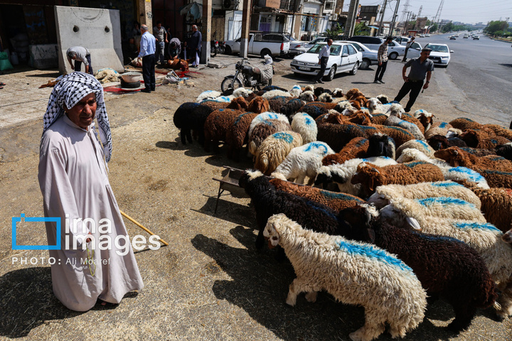 «ذبح ایمن» در روز عید «قربان»