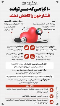 ۱۰ گیاهی که می‌توانند فشارخون را کاهش دهند