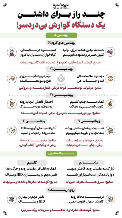 چند راز برای داشتن یک دستگاه گوارش بی‌دردسر!