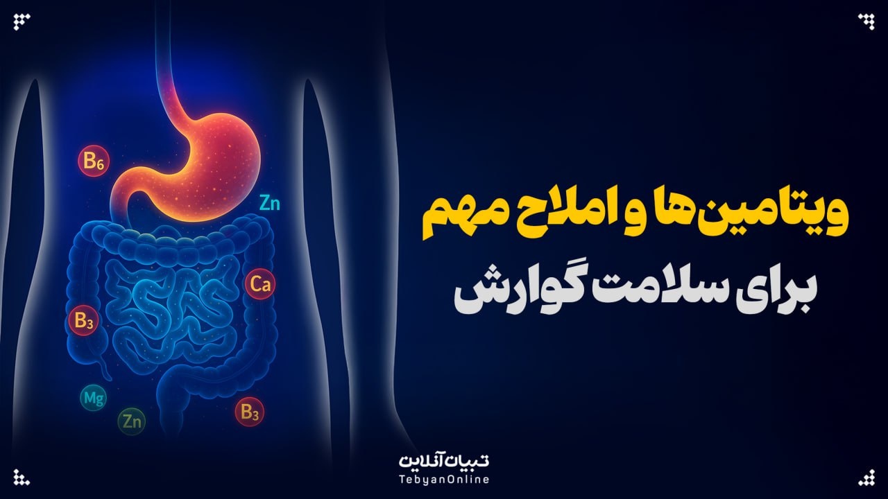 ویتامین‌ها و املاح مهم برای سلامت گوارش