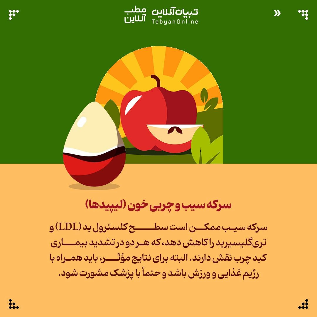 بررسی رابطه میان سرکه سیب و کبد چرب