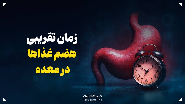 زمان تقریبی هضم غذاها در معده چقدر است؟