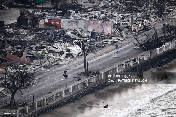 عکس‌های منتخب سال 2023