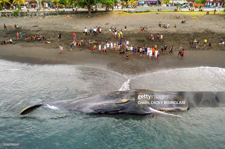 عکس‌های منتخب سال 2023