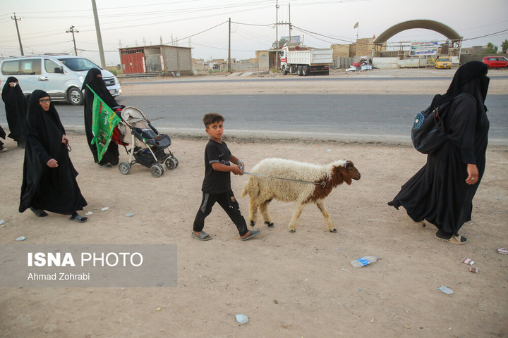 آغاز پیاده روی سحرگاهی زائران اربعین حسینی - شافعیه عراق