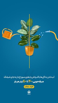 یک حرکت کوچیک، یک تاثیر بزرگ! آب دادن به گل‌ها با آب‌پاش یا بطری به جای شلنگ