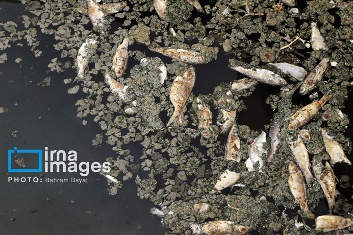 «دریاچه پری» در آستانه خشکی کامل