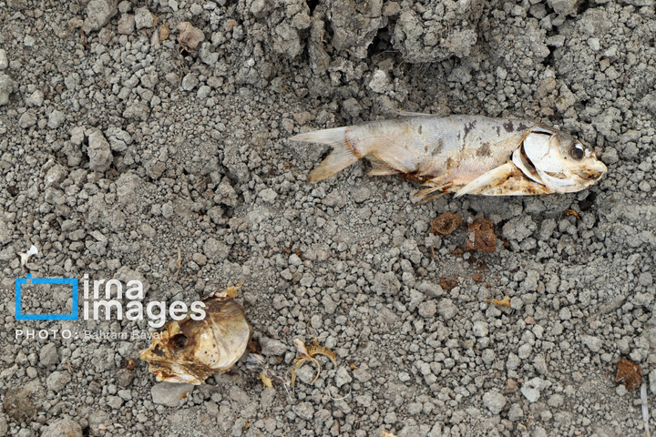 «دریاچه پری» در آستانه خشکی کامل