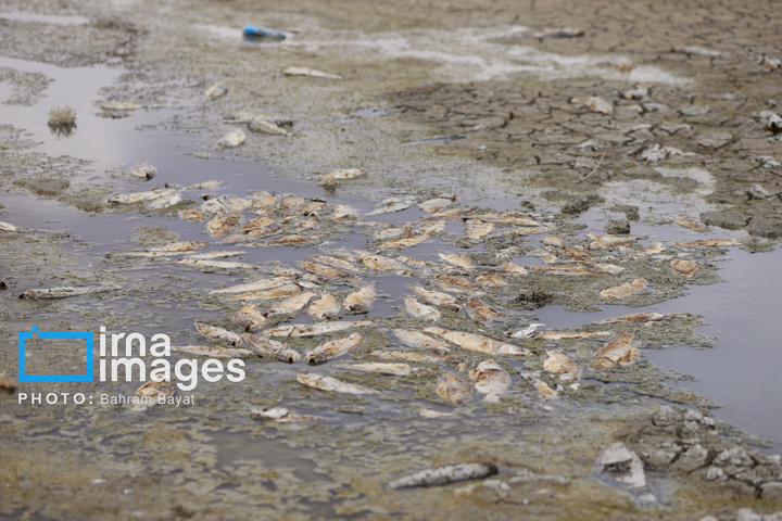 «دریاچه پری» در آستانه خشکی کامل