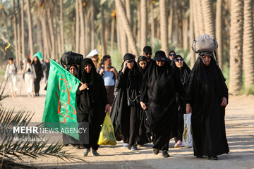 پیاده‌روی اربعین از «طریق العلما»» به کربلا