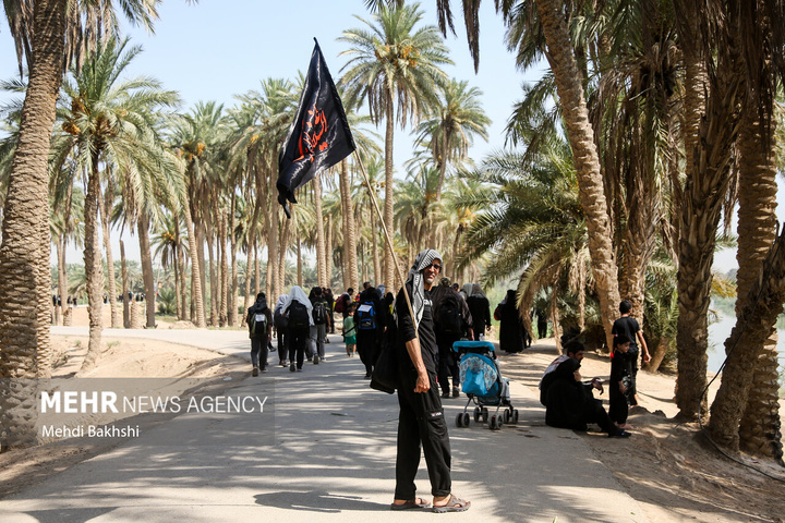 پیاده‌روی اربعین از «طریق العلما»» به کربلا