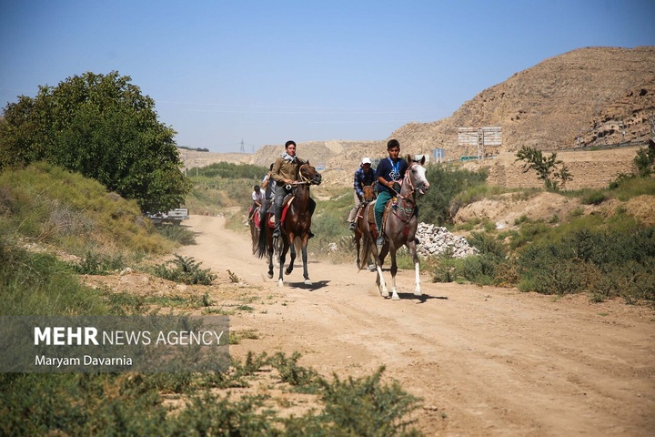 کاروان سوارکاری «حرم تا حرم»