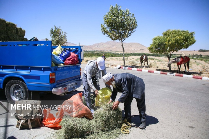 کاروان سوارکاری «حرم تا حرم»