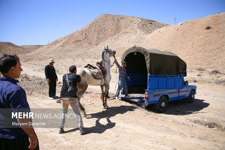 کاروان سوارکاری «حرم تا حرم»