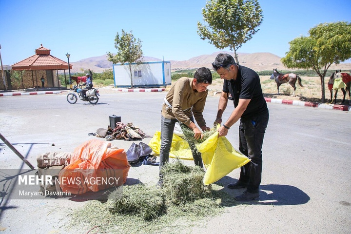 کاروان سوارکاری «حرم تا حرم»