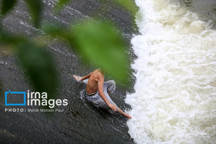 آب‌تنی در روزهای داغ تابستان