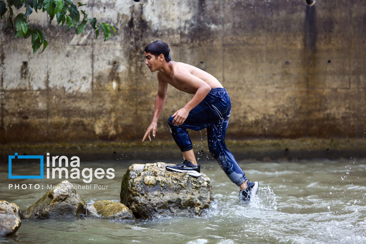 آب‌تنی در روزهای داغ تابستان