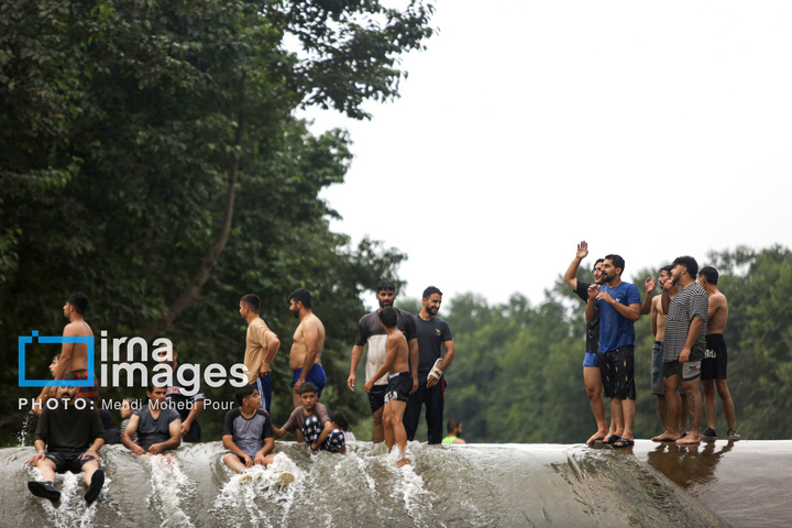 آب‌تنی در روزهای داغ تابستان