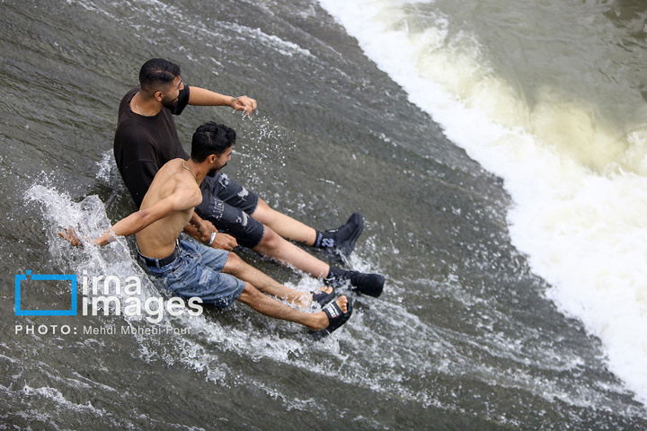 آب‌تنی در روزهای داغ تابستان