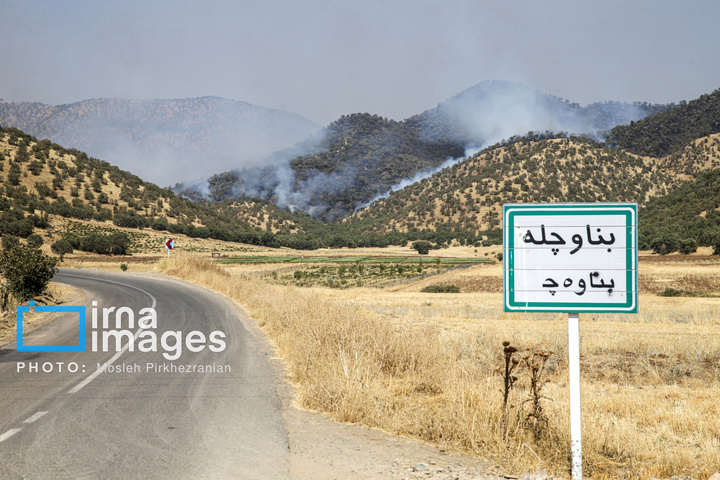آتش سوزی جنگل های بلوط مریوان