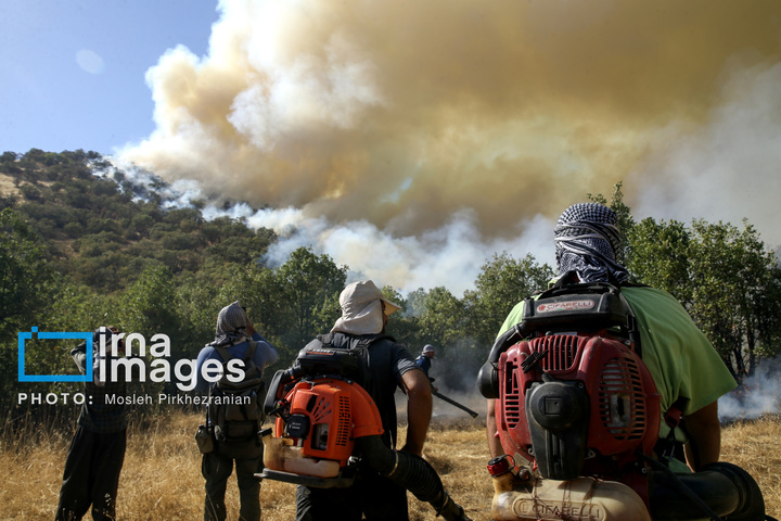 آتش سوزی جنگل های بلوط مریوان
