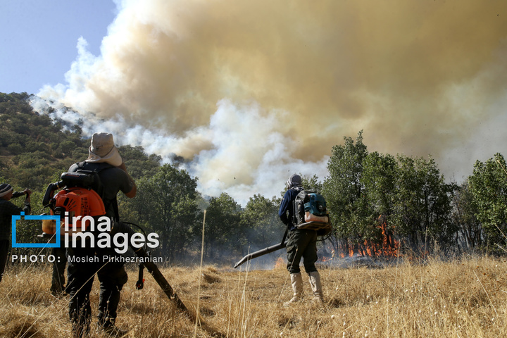 آتش سوزی جنگل های بلوط مریوان