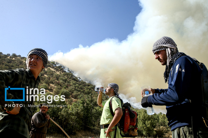 آتش سوزی جنگل های بلوط مریوان