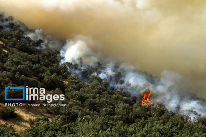 آتش سوزی جنگل های بلوط مریوان