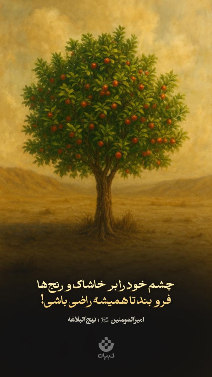 چشم خود را بر خاشاک و رنج‌ها فرو بند تا همیشه راضی باشی!