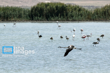 تالاب های  درگه و سولدوز