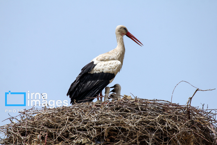 تالاب های  درگه و سولدوز