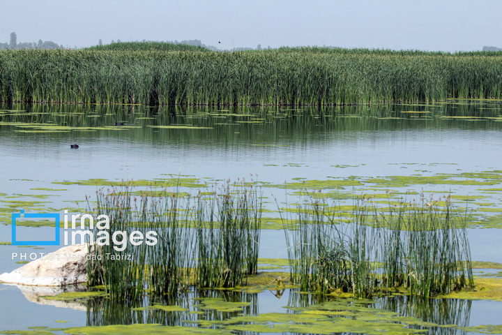تالاب های  درگه و سولدوز