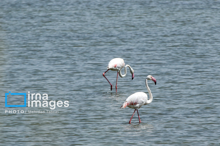 تالاب های  درگه و سولدوز