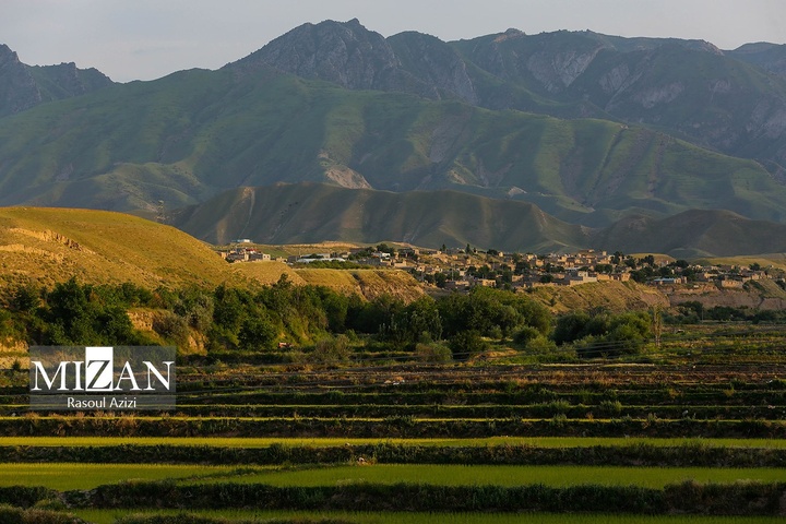 شالیزارهای کلات نادری