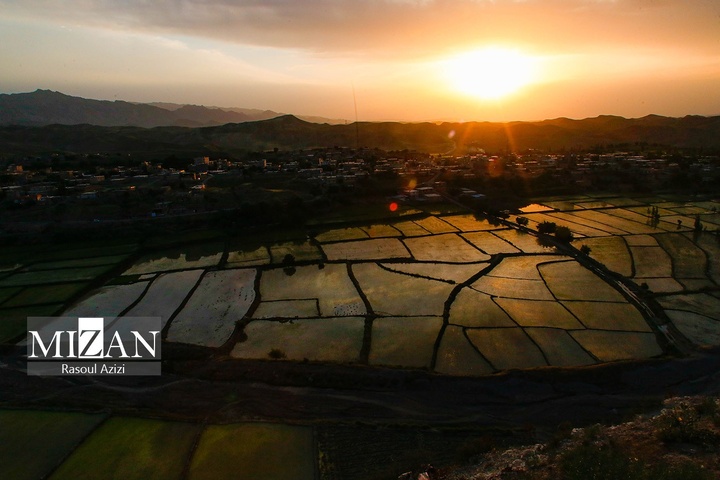 شالیزارهای کلات نادری