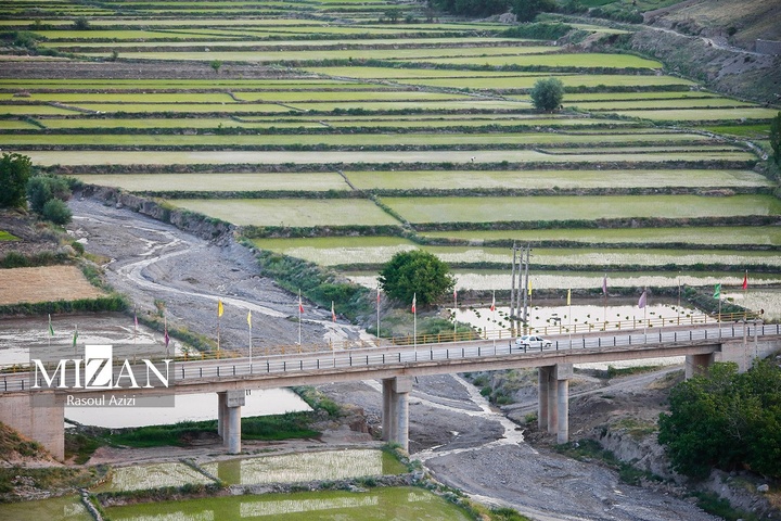 شالیزارهای کلات نادری