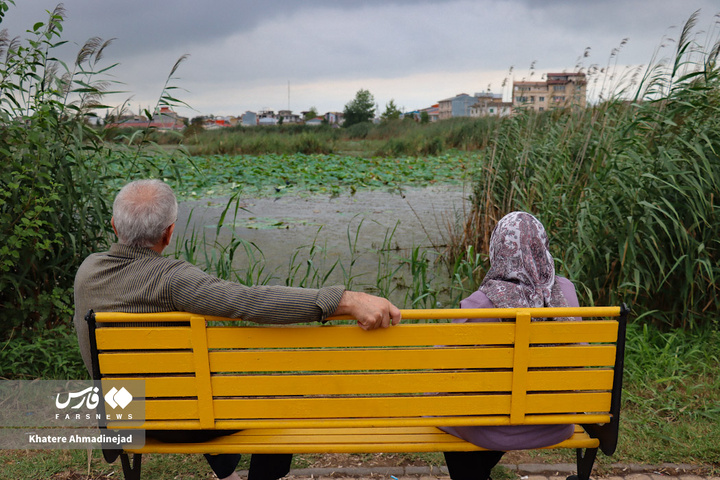 کیاکلایه بهشت «پرنده نگری» در قلب گیلان