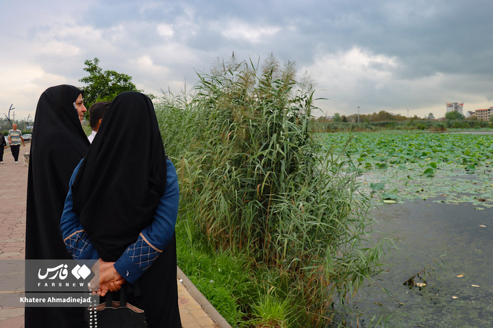 کیاکلایه بهشت «پرنده نگری» در قلب گیلان